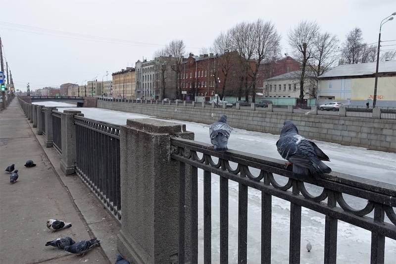 Санкт-Петербург Санкт-Петербург
