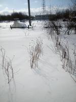 VFL.RU - ваш фотохостинг