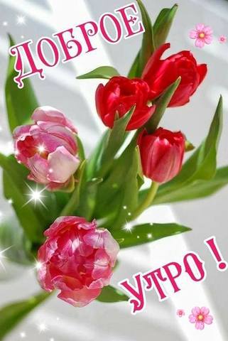 Tapтaлeтки & Ко