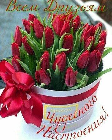 Tapтaлeтки & Ко