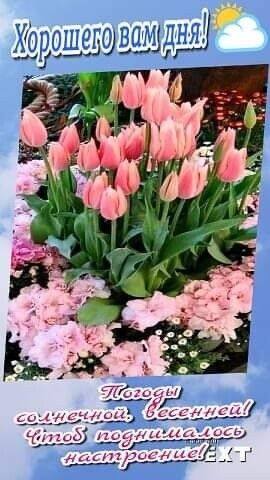 Tapтaлeтки & Ко