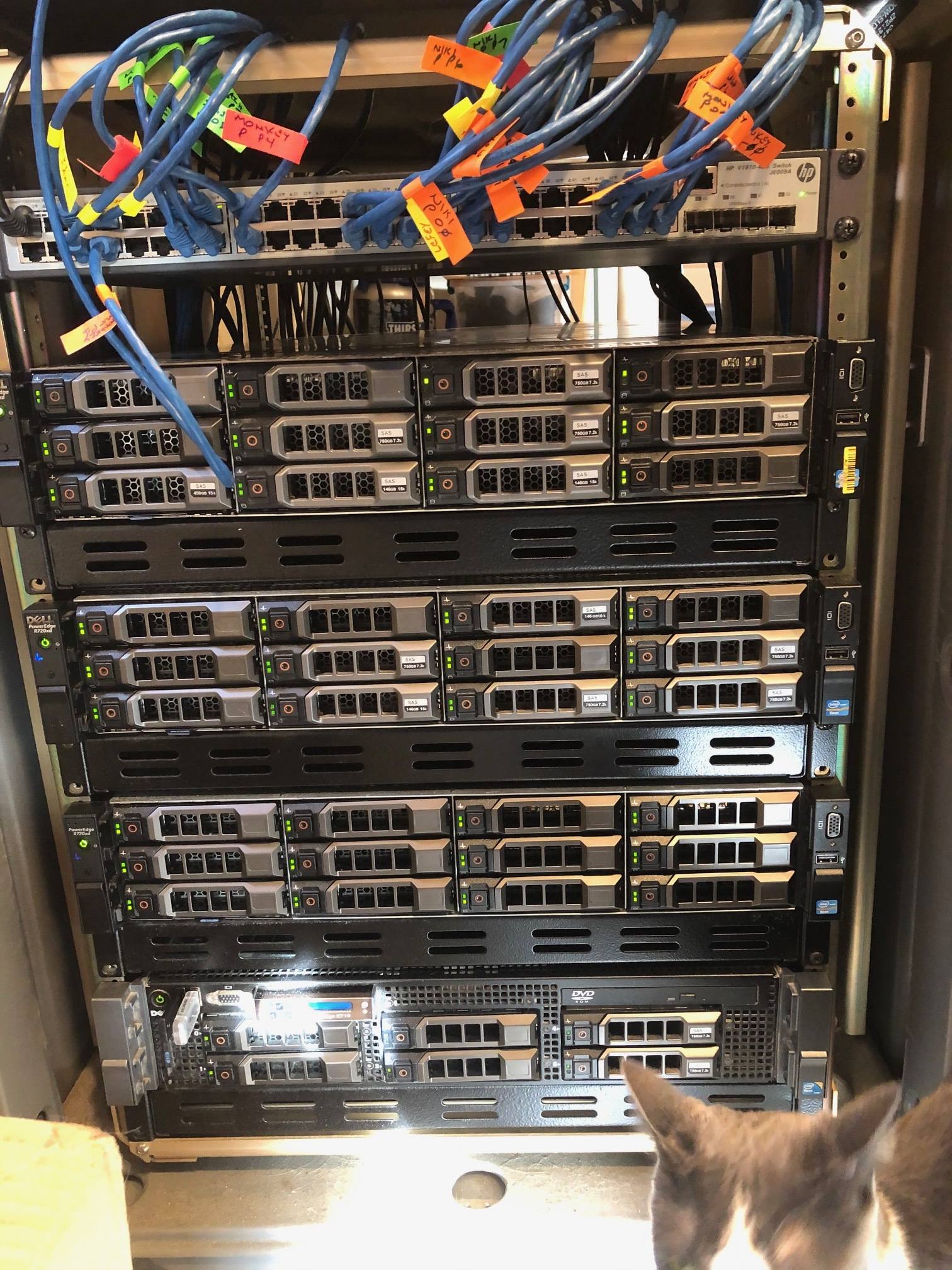 33687425.jpg