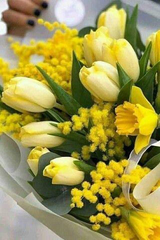 Tapтaлeтки & Ко