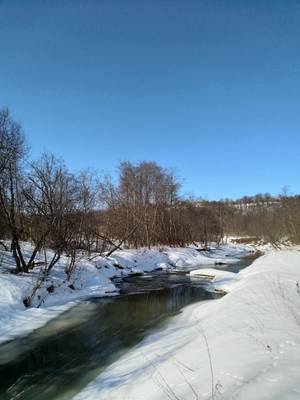 VFL.RU - ваш фотохостинг VFL.RU - ваш фотохостинг