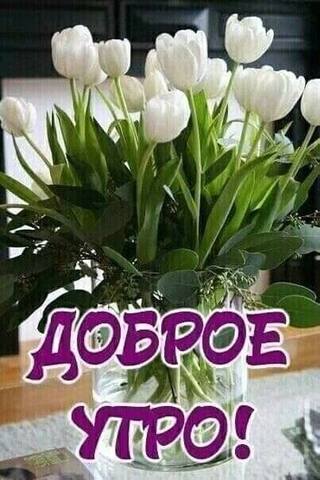 Tapтaлeтки & Ко