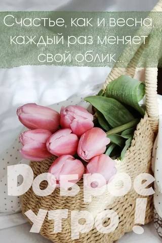 Tapтaлeтки & Ко