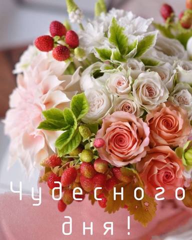 Tapтaлeтки & Ко