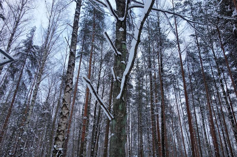 Окраины С-Петербурга Окраины С-Петербурга