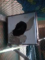 VFL.RU - ваш фотохостинг