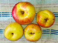 VFL.RU - ваш фотохостинг