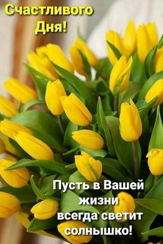 Tapтaлeтки & Ко