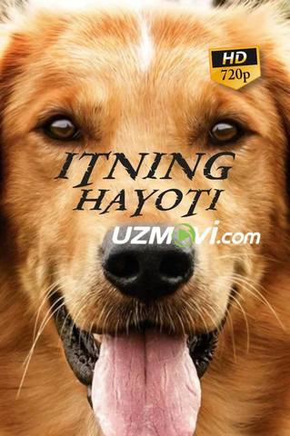 Itning hayoti