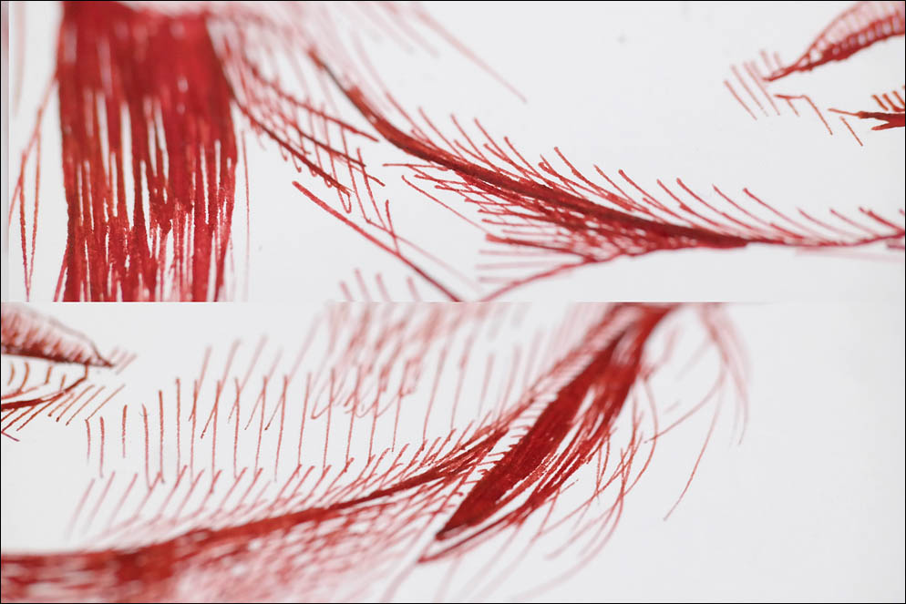 Noodler's #6 Flex nib. Lenskiy.org