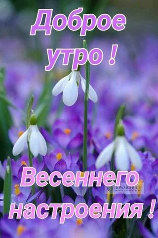 Tapтaлeтки & Ко