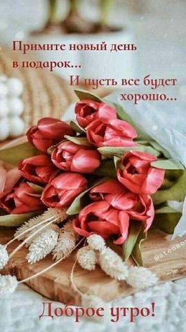 Tapтaлeтки & Ко