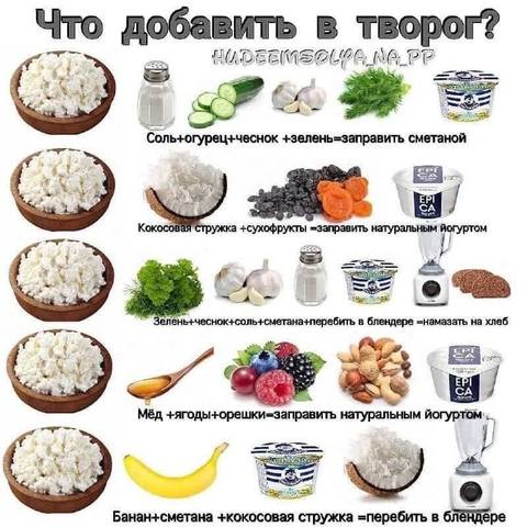Кулинарная инфографика
