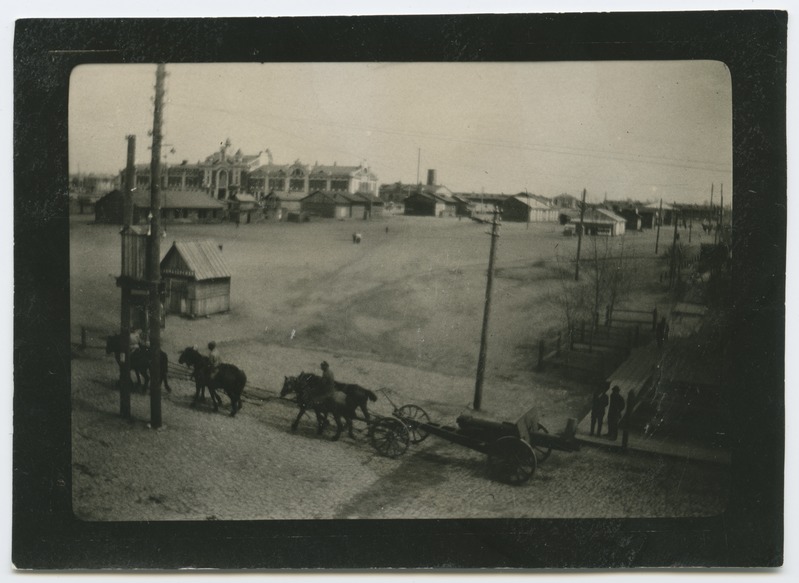 foto, Venemaa, Zeja linn, hobused suurtükke vedamas, u 1916, foto A. Kukk