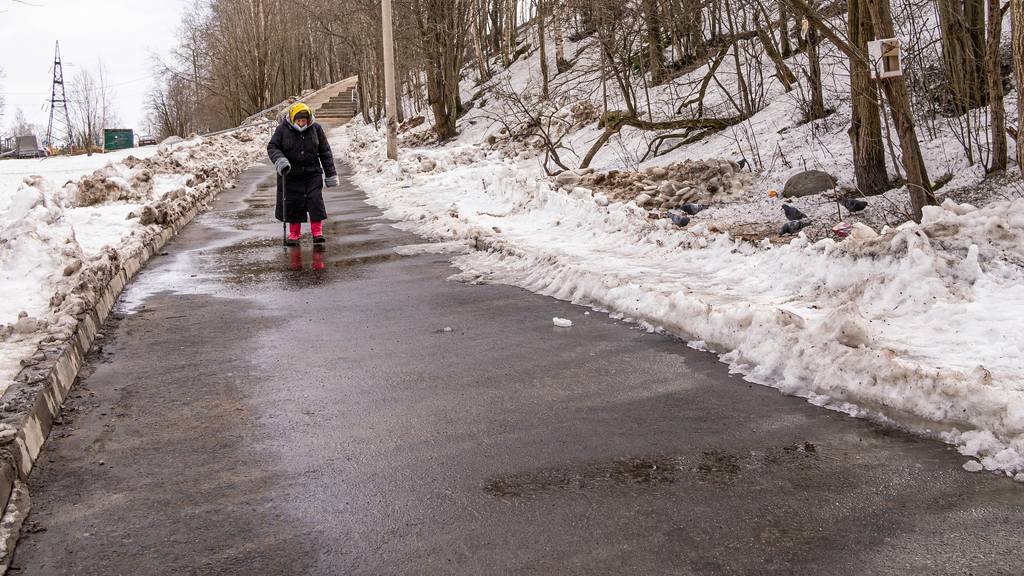 Каменноборская аллея