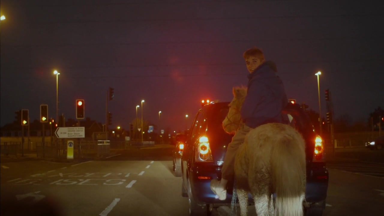 Urban Cowboys (Ziemilski, 2016) 308