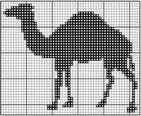 Верблюды 120-3