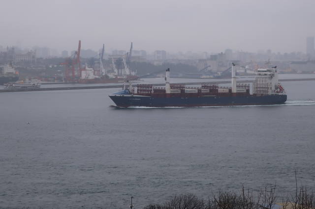 http://images.vfl.ru/ii/1617819188/24004409/33989102_m.jpg