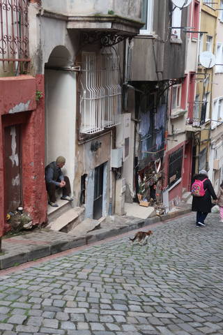 http://images.vfl.ru/ii/1617819466/44a221a5/33989175_m.jpg