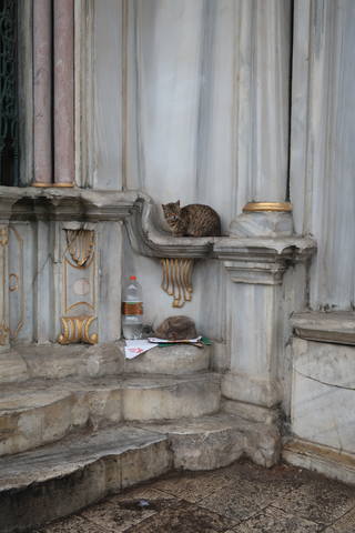 http://images.vfl.ru/ii/1617819534/eb433a45/33989203_m.jpg