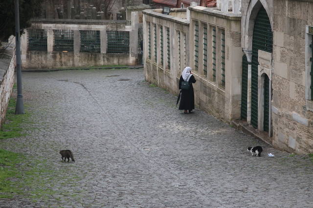 http://images.vfl.ru/ii/1617819539/3c43fa16/33989216_m.jpg