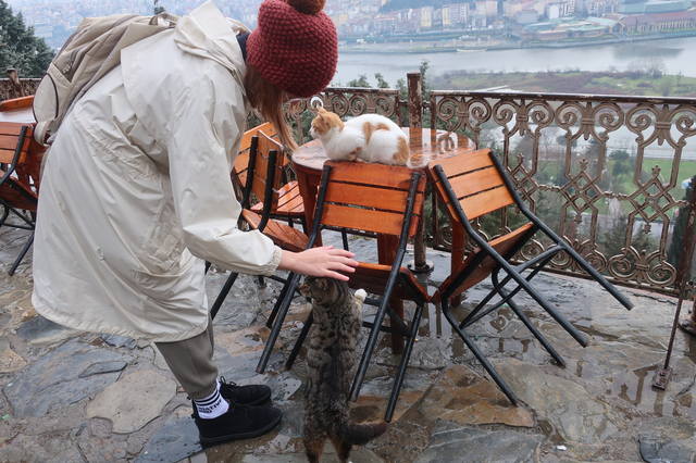 http://images.vfl.ru/ii/1617819601/1823a20b/33989226_m.jpg
