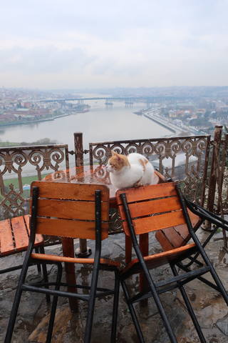 http://images.vfl.ru/ii/1617819601/eb550dea/33989225_m.jpg