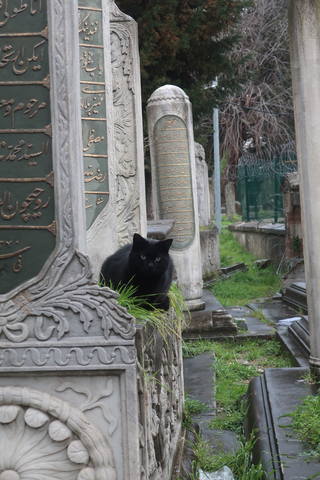 http://images.vfl.ru/ii/1617819603/32f9ee54/33989230_m.jpg