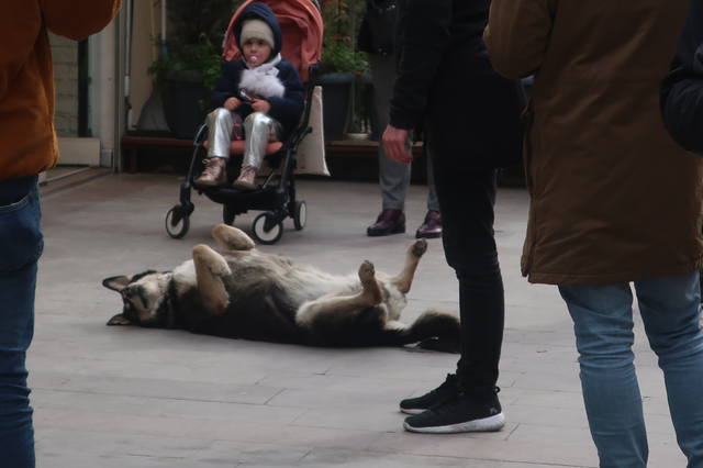 http://images.vfl.ru/ii/1617819605/28cee3d9/33989237_m.jpg