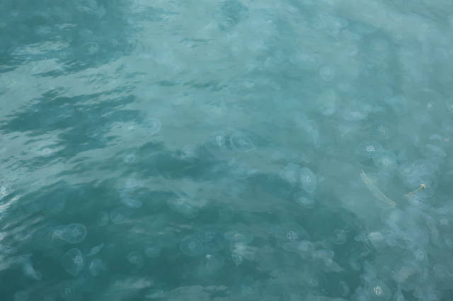 http://images.vfl.ru/ii/1617819740/77f5704c/33989281_m.jpg