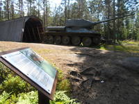 VFL.RU - ваш фотохостинг