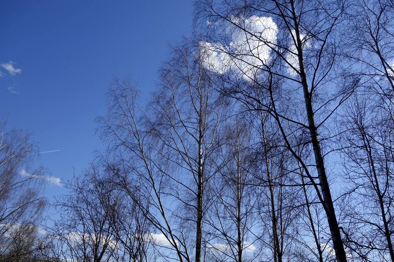 dsc4934 dsc4934
