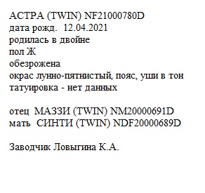 Астра анк Nudnaya