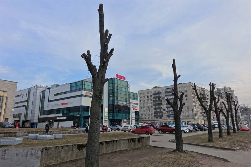 Калининский район Калининский район