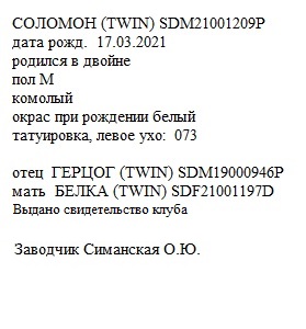 Соломон анк Симанская Ольга