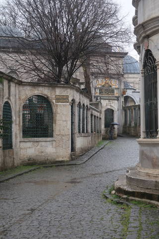 http://images.vfl.ru/ii/1618426885/6fb1a490/34083219_m.jpg