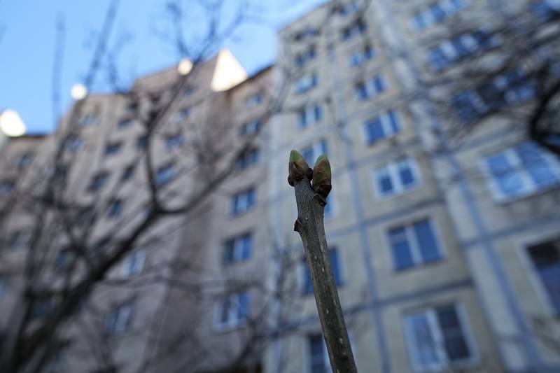 Дворы Калининского района Дворы Калининского района