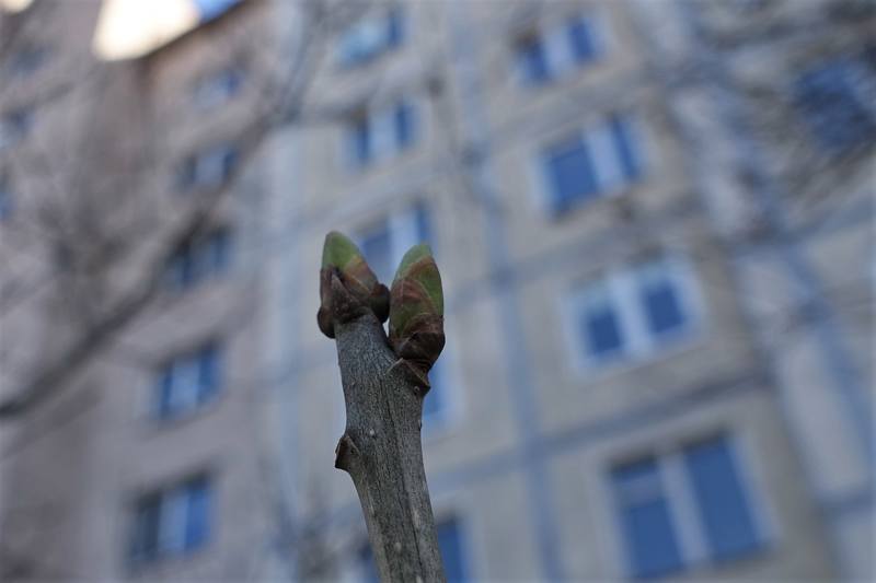 Дворы Калининского района Дворы Калининского района