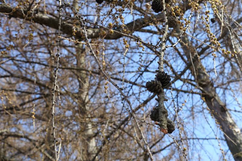 Дворы Калининского района Дворы Калининского района