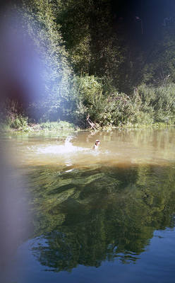 img185 img185