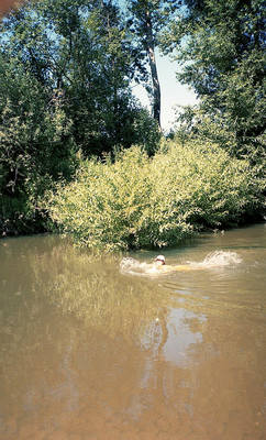 img190 img190