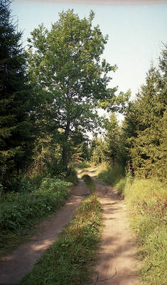 img199 img199