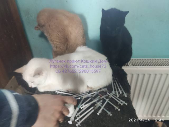 VFL.RU - ваш фотохостинг VFL.RU - ваш фотохостинг