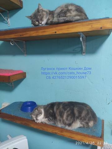 VFL.RU - ваш фотохостинг VFL.RU - ваш фотохостинг
