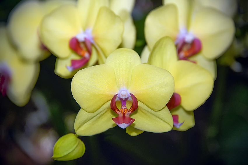 фото АндреяТерехова24