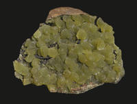 Анапаит (фосфат железа) в ископаемой раковине. Керчь. Размер 4 см. Фото Морошкина В.В.