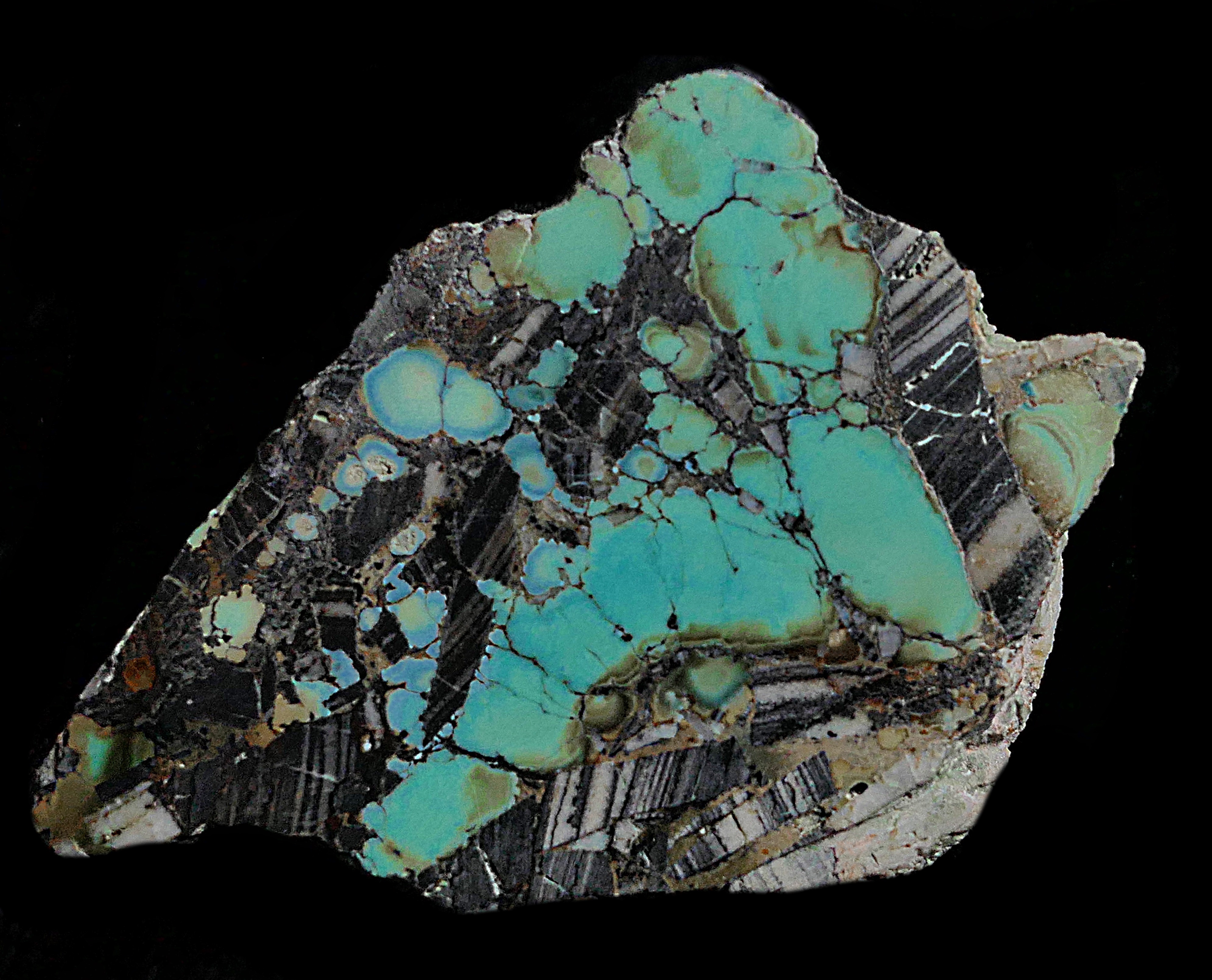 Бирюза в породе. Кызылкумы. Размер 5 см. Фото Морошкина В.В.